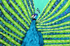 Luis Arispe, Blue Peacock